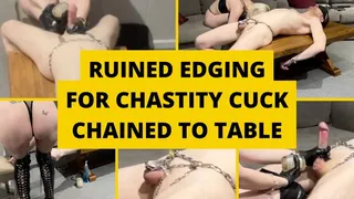 Ruined edging for chastity cuck chained to table