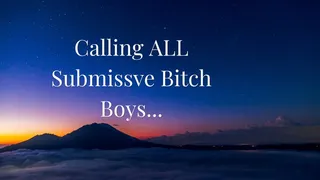 Calling ALL Submissive Bitch Boys