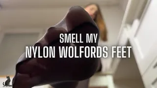 Smell my nylon Wolfords feet