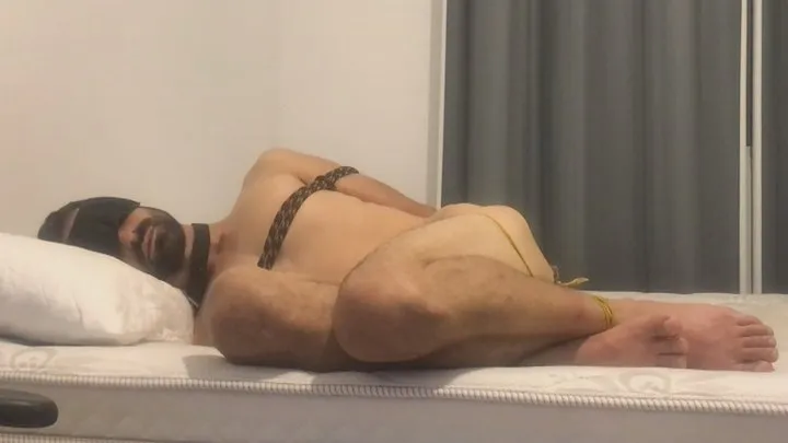 straight homeless man hogtied on my bed with pet collar