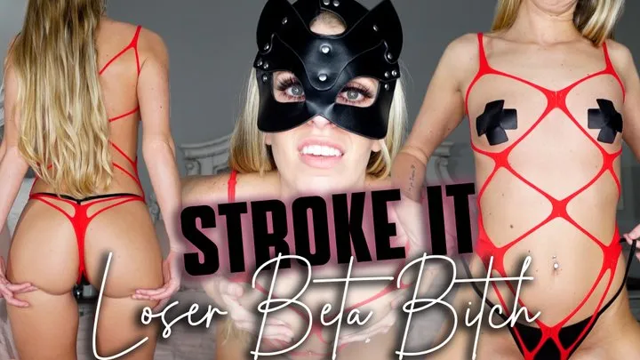 Stroke it Loser Beta Bitch