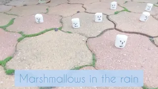 Marshmallows in the rain