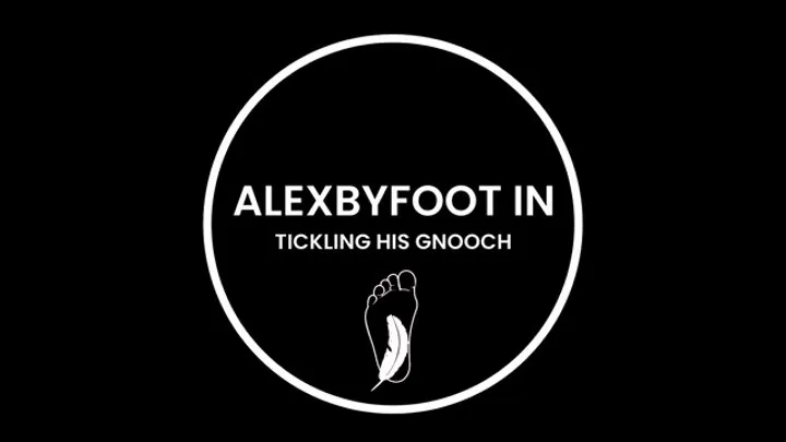ALEXBYFOOT IN "GNOOCH TICKLING"