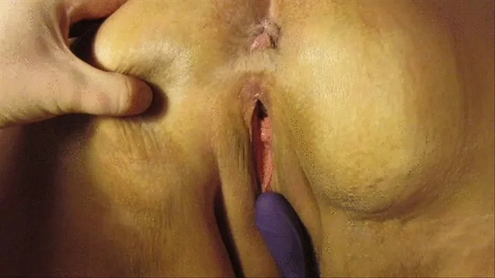 BBW Slut Training: Insertion