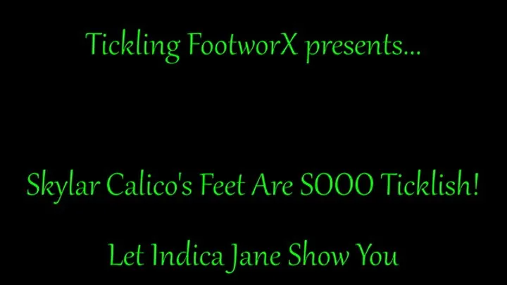 Skylar Calico's Feet are SOOOO Ticklish