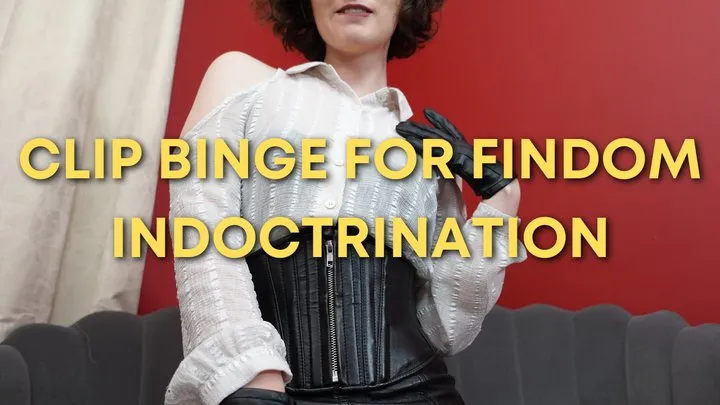 Clip Binge For Findom Indoctrination