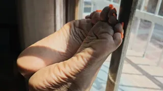 Balbina Foot Soles dream in the window