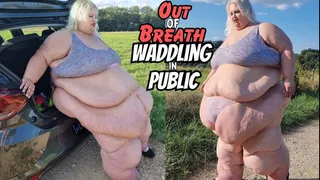 Out of Breath Waddling in Public