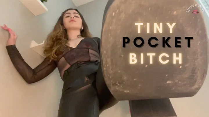 Tiny Pocket Bitch