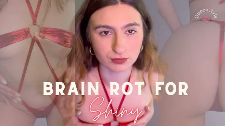 Brain Rot for Shiny