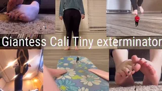 Giantess Cali is the tiny exterminator