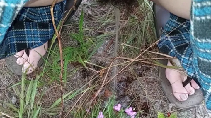 Watering the Flowers