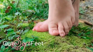 Giant little feet caressing the forest moss