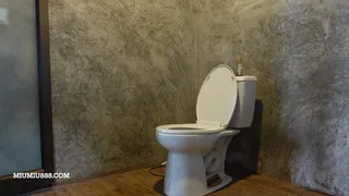 Pee under a spy cam