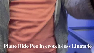 Plane ride Pee in crotchless lingerie