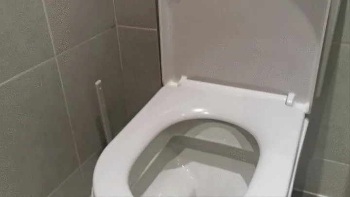 toilet trips compilation 5