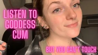 Listen To Goddess Cum... but you can't touch