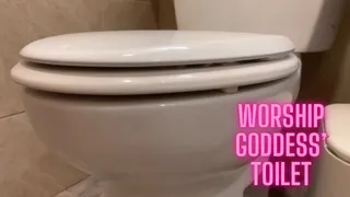 Worship Goddess' Toilet