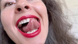 buy a ticket for a tour of my sexy mouth