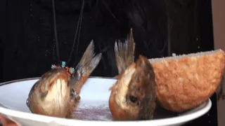 eating fish