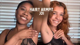 Hairy Armpit JOI