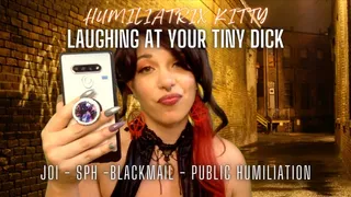 Custom - Mean Girl Kitty Babalon Laughing At Your Tiny Dick