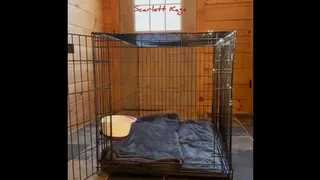 Scarlett Kage - Puppy Care part 1 - puppy waits in his cage while Scarlett works, then gets to eat pussy for lunch