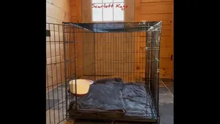 Scarlett Kage - Puppy Care part 1 - puppy waits in his cage while Scarlett works, then gets to eat pussy for lunch