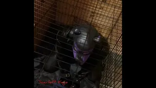 Scarlett Kage Puppy Punishment Part 2 of 2 - strap on, leather leggings, big butt, rough pegging, male orgasm, reach around jerk off, bondage, cage, straight jacket, collar, leash, leather, puppy play, pet play, SPH, angry domme, femdomme, female dom
