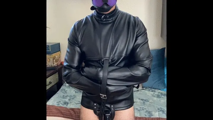 SD Scarlett Kage and Puppy Play FULL video - sensual domination, puppy play, pet play, masks, strap on, leather, straightjacket, femdom, male submission, bdsm