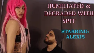 Sadistic Queen - Humiliated & Degraded With Spit