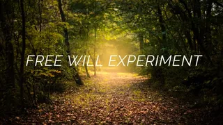 Free Will Experiment
