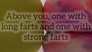 Above you, one with long farts and one with strong farts