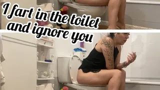 I fart in the toilet and ignore you