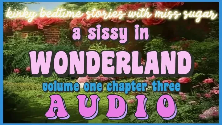 A Sissy in Wonderland, Chapter Three