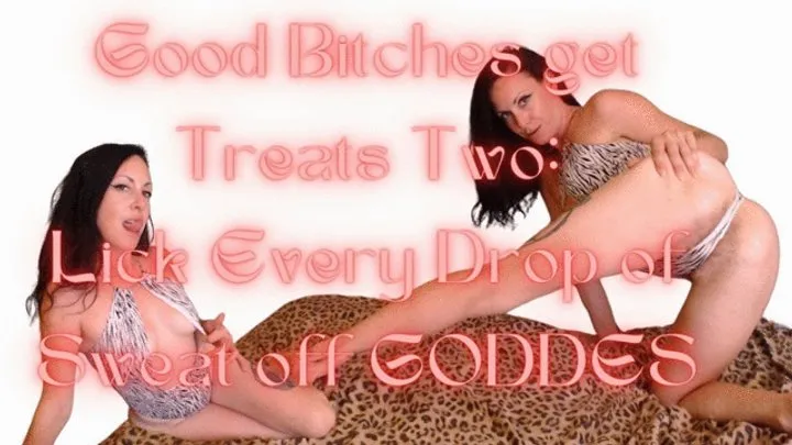 Good Bitches get Treats Two: Lick Every Drop of Sweat Off Goddess