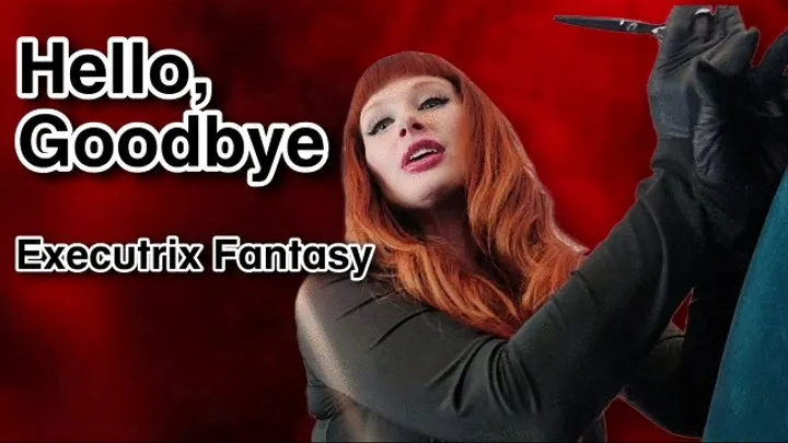 Hello, Goodbye- Executrix-Fantasy