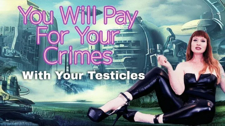 You Will Pay For Your Crimes MP4