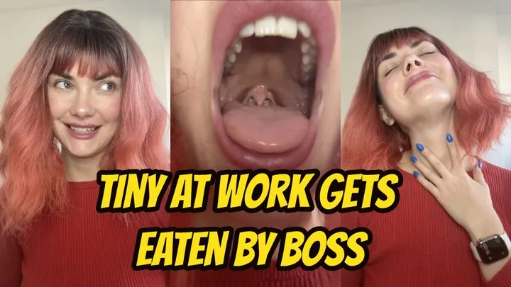 Tiny At Work Gets Eaten By Boss