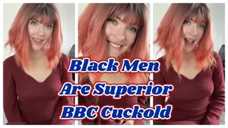 Black Men Are Superior BBC Cuckold