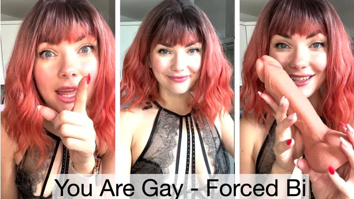 You Are Gay- Imposed Bi