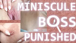 Miniscule Boss, Gets Punished