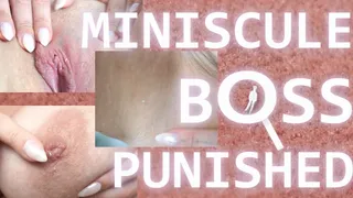 Miniscule Boss Gets Punished!