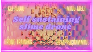 Self Sustaining Slime Machine, Audio, Drone Training