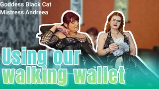 Goddess Black Cat and Mistress Andreea - Using our walking wallet