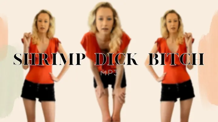 Shrimp Dick Bitch MP3