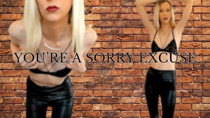 You're A Sorry Excuse MP3