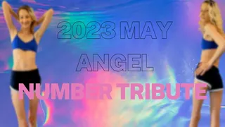 2023 May Angel Number Tribute