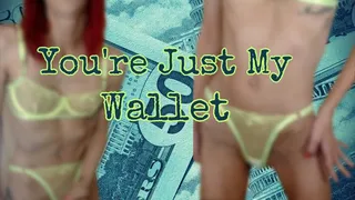 You're Just My Wallet