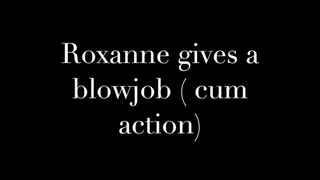 Roxanne Gives a Quick Blowjob